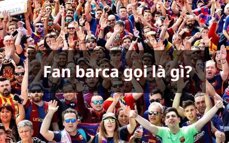 Fan Barca gọi là gì?