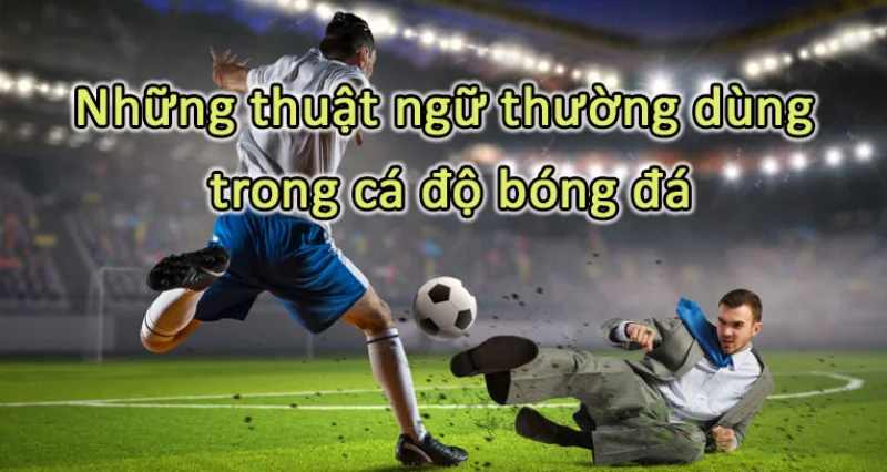 Thông tin cực hữu ích về những thuật ngữ cá độ bóng đá